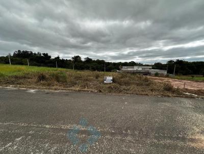 Terreno para Venda, em Astorga, bairro RESIDENCIAL TIMB