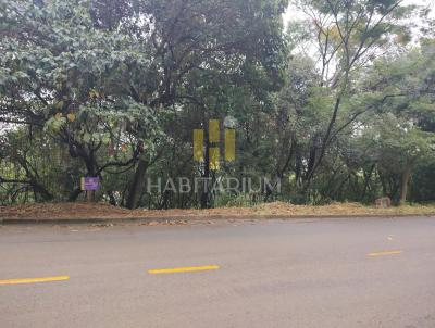 Terreno para Venda, em guas da Prata, bairro Jardim Brando