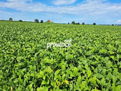 Fazenda para Venda, em Paraguau Paulista, bairro Centro