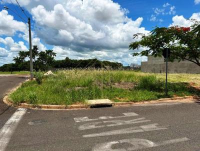 Terreno para Venda, em Birigui, bairro Jardim Paraso