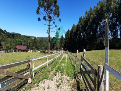 Chcara para Venda, em Tijucas do Sul, bairro Serra do Araatuba, 2 dormitrios, 1 banheiro