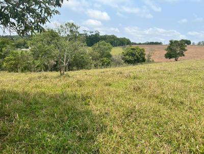 Chcara para Venda, em Siqueira Campos, bairro Gabiroba