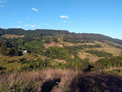 Terreno para Venda, em Morro Reuter, bairro 