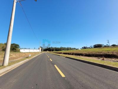 Lote para Venda, em Iara, bairro Primeiro de Maio