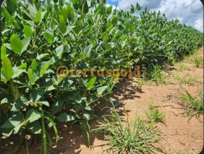 Fazenda para Venda, em Tabapor, bairro Zona rural