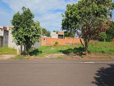 Terreno para Venda, em , bairro Residencial Novo Horizonte