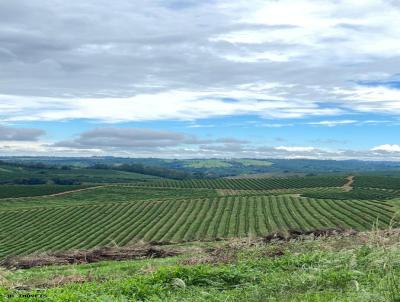 Fazenda para Venda, em Guaxup, bairro Centro