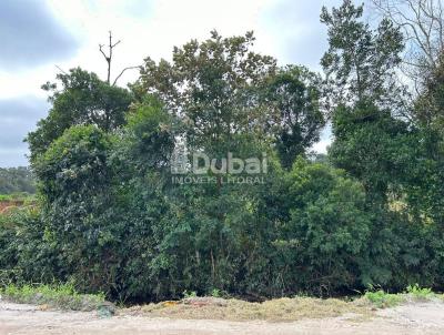 Terreno para Venda, em Guaratuba, bairro Nereidas