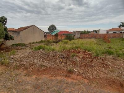 Terreno para Venda, em Siqueira Campos, bairro Boa Vista