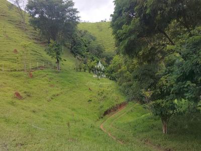 Stio para Venda, em So Sebastio, bairro Serto do Camburi, 4 dormitrios, 1 banheiro, 2 sutes