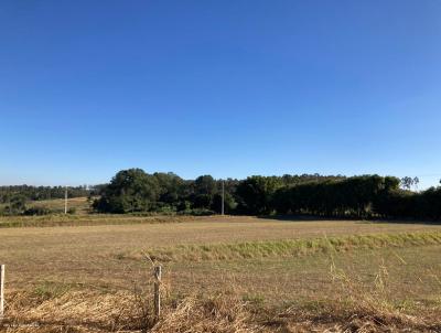 rea Rural para Venda, em , bairro rea Rural
