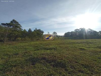 Stio / Chcara para Venda, em Torres, bairro Rio Verde, 2 dormitrios, 1 banheiro, 1 vaga