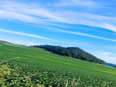 Arrendamento para Locao, em Bodoquena, bairro Zona Rural