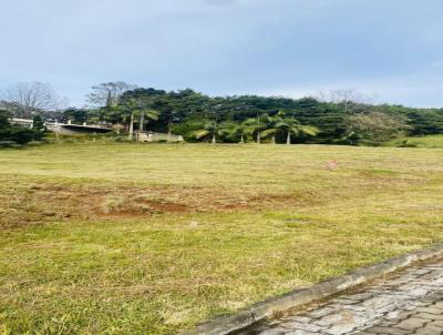 Terreno Residencial para Venda, em Santa Cruz do Sul, bairro Country