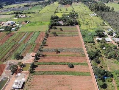 Chcara para Venda, em Braslia, bairro Brazlndia