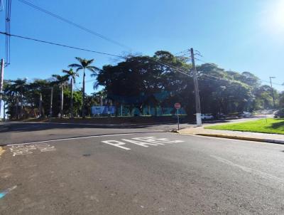 Terreno Comercial para Venda, em Birigui, bairro Vila Silvares