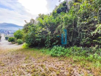 Terreno para Venda, em Trs Coroas, bairro Sander