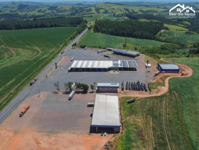 Sala Comercial para Locao, em Wenceslau Braz, bairro Alecrim, 1 banheiro