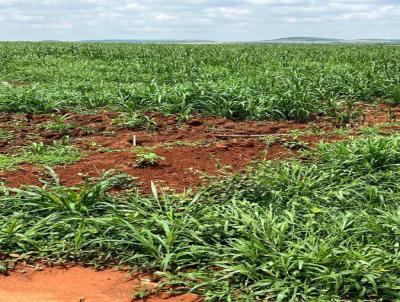 rea Rural para Venda, em , bairro 