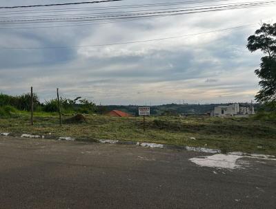 Terreno para Venda, em Cotia, bairro Jardim Japo (Caucaia do Alto)