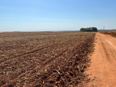 rea Rural para Venda, em , bairro 