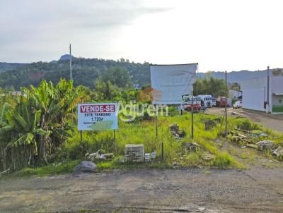 Terreno para Venda, em Trs Coroas, bairro Centro