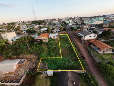 Terreno para Venda, em Cantagalo, bairro centro