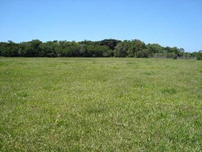 Terreno para Venda, em Osrio, bairro Palmital