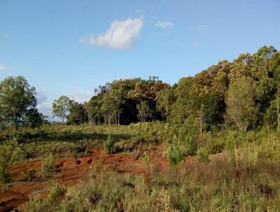 Terreno para Venda, em Osrio, bairro Tombador