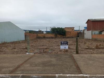 Terreno para Venda, em Osrio, bairro Albatroz