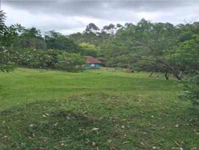 Chcara para Venda, em Osrio, bairro Borssia, 3 dormitrios, 1 banheiro