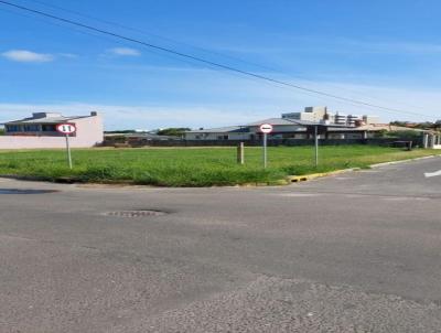 Terreno para Venda, em Osrio, bairro Caiu do Cu