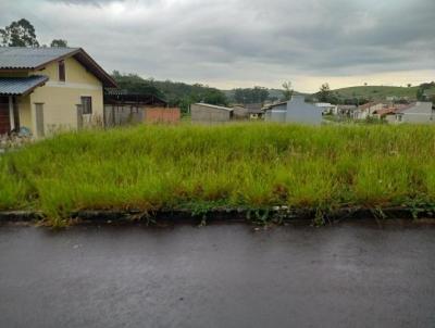 Terreno para Venda, em Santo Antnio da Patrulha, bairro Santa Teresinha