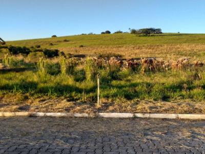 Terreno para Venda, em Santo Antnio da Patrulha, bairro Santa Teresinha