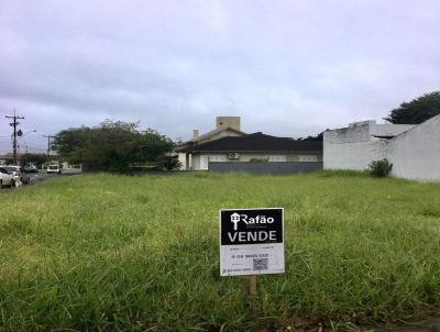 Terreno para Venda, em Osrio, bairro Caiu do Cu