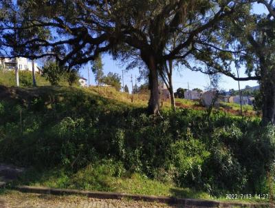 Terreno para Venda, em Santo Antnio da Patrulha, bairro Santa Teresinha