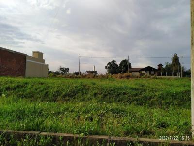 Terreno para Venda, em Santo Antnio da Patrulha, bairro Menino Deus