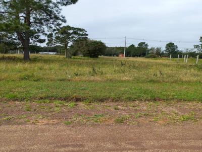 Terreno para Venda, em Osrio, bairro Santa Luzia