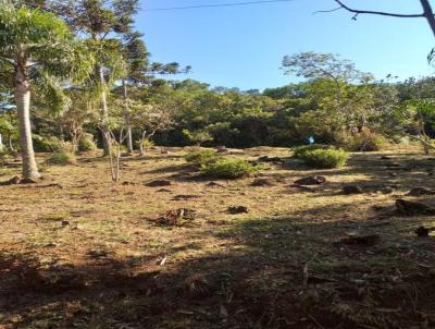 Terreno para Venda, em Osrio, bairro Borssia