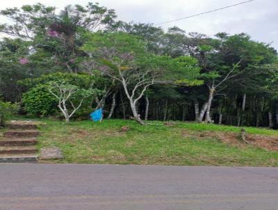 Terreno para Venda, em Osrio, bairro Borssia