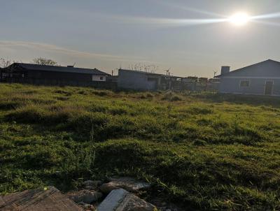 Terreno para Venda, em Osrio, bairro Serramar