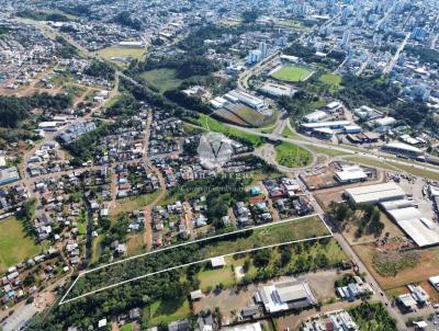 Chcara para Venda, em Erechim, bairro Petit Vilage