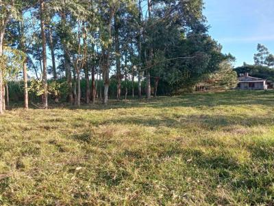 Chcara para Venda, em Santo Antnio da Patrulha, bairro Chicolom