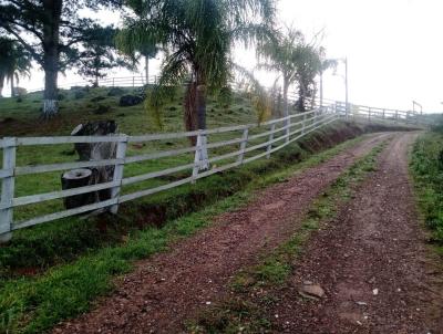 Terreno para Venda, em Osrio, bairro Borssia