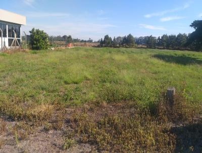 Terreno para Venda, em Osrio, bairro Palmital