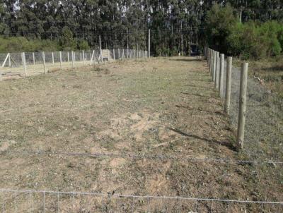 Terreno para Venda, em Osrio, bairro Palmital