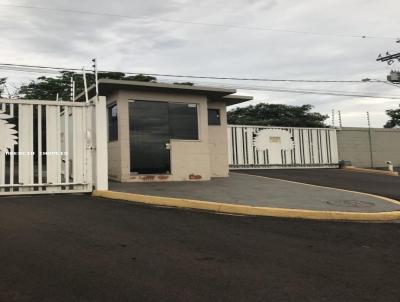 Casa para Venda, em Andradina, bairro Vila Delmond, 3 dormitrios, 2 banheiros, 1 sute