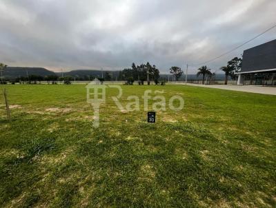 Terreno para Venda, em Osrio, bairro Palmital