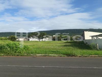 Terreno para Venda, em Osrio, bairro Caiu do Cu