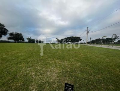 Terreno para Venda, em Osrio, bairro Palmital